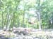 IMAG0029